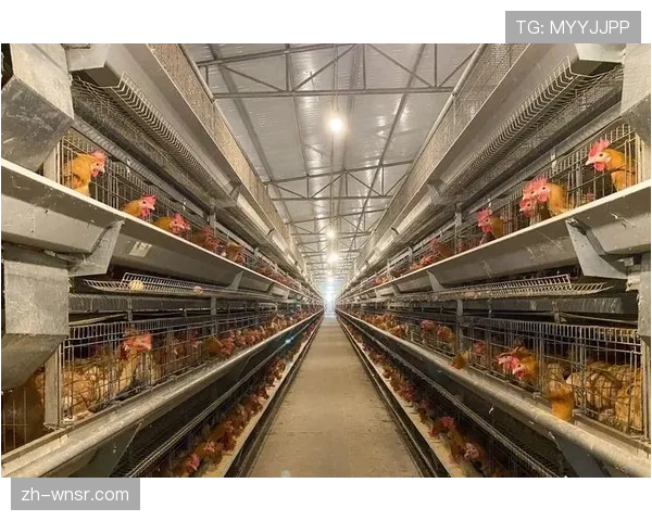 赛事目的地营销跨区域合作 共享客源并延伸消费链条